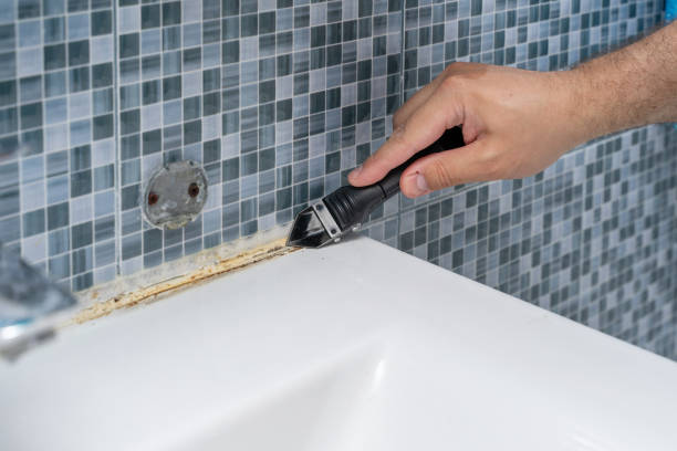 Best Same-Day Mold Removal  in Old River Winfree, TX