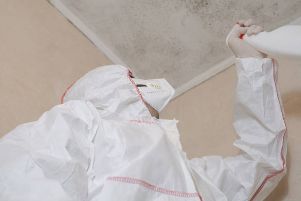 Best Certified Mold Removal  in Old River Winfree, TX